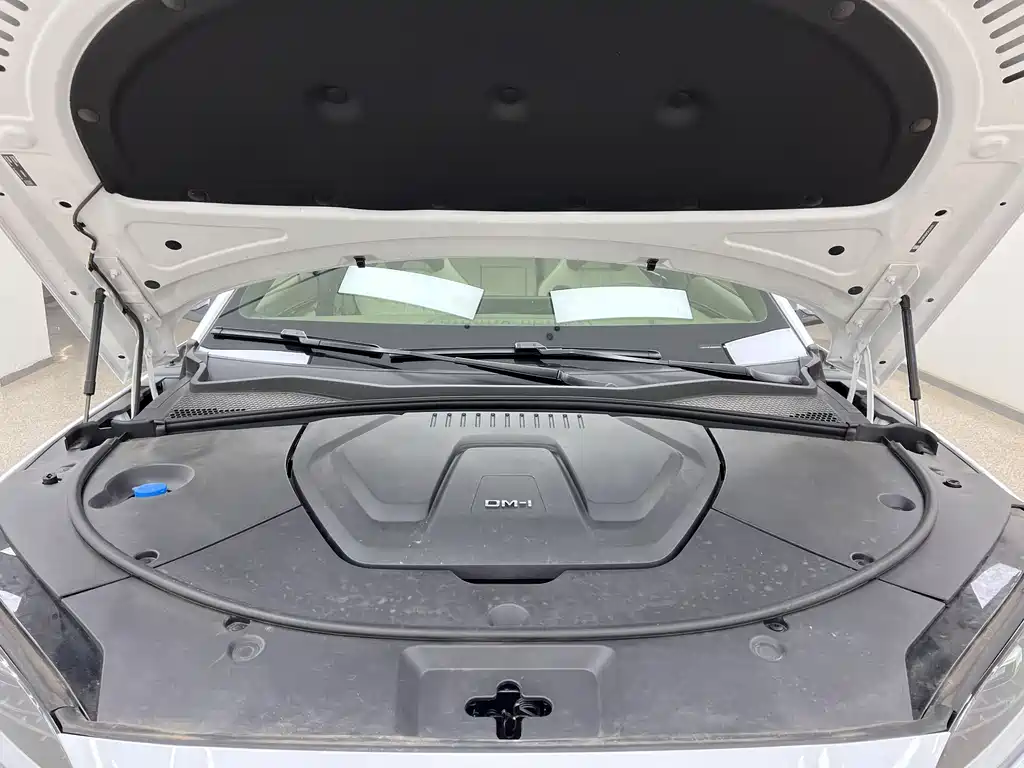 BYD PLUS New Energy 2024 — фото 15