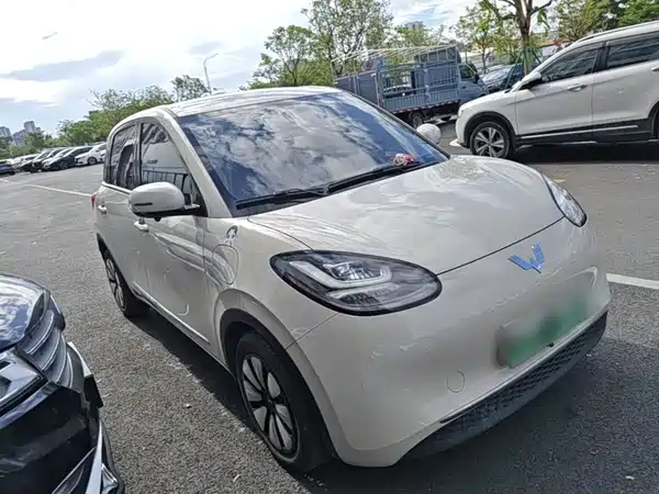 Wuling Bingo 2024