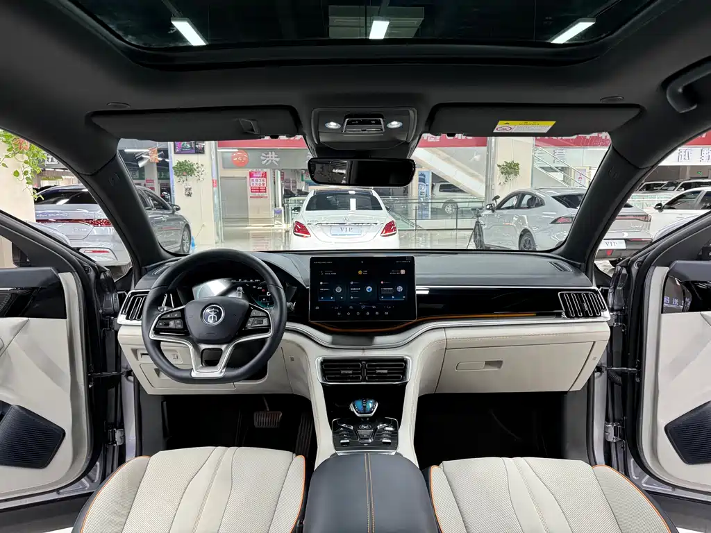 BYD PLUS New Energy 2023 — фото 15