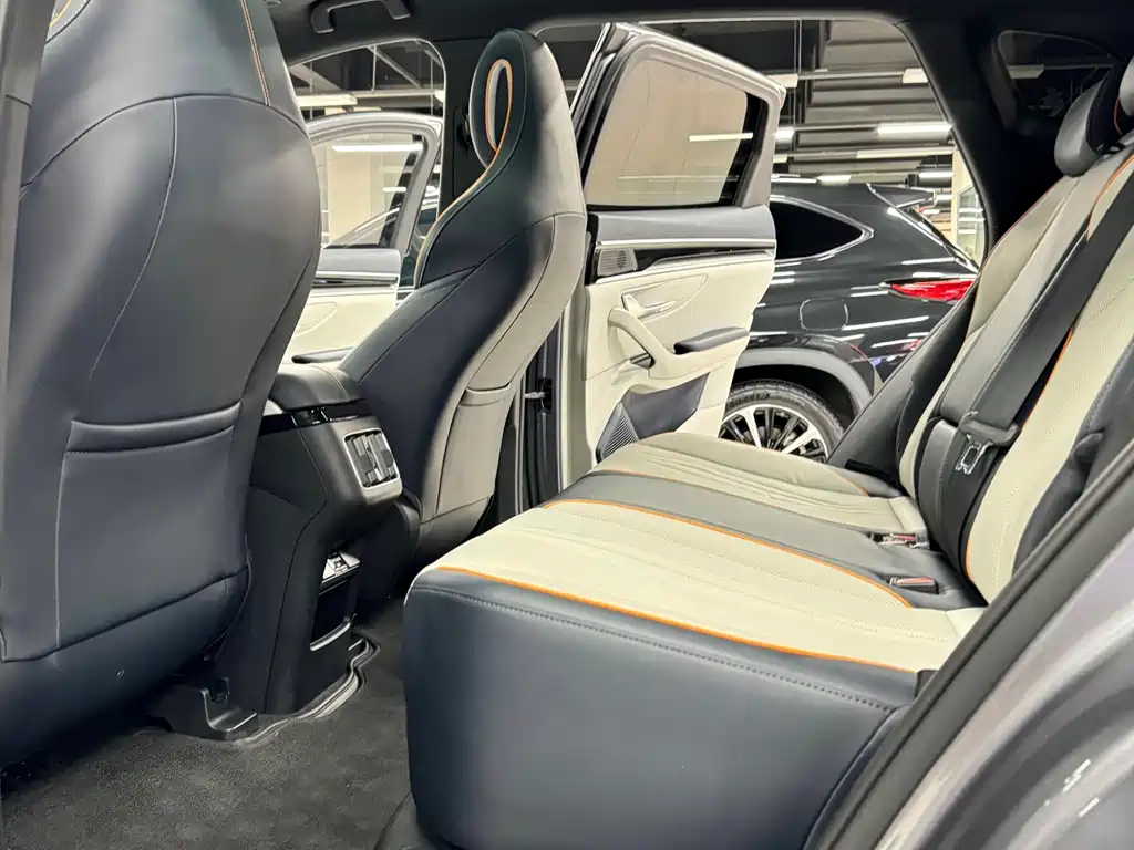 BYD PLUS New Energy 2023 — фото 17