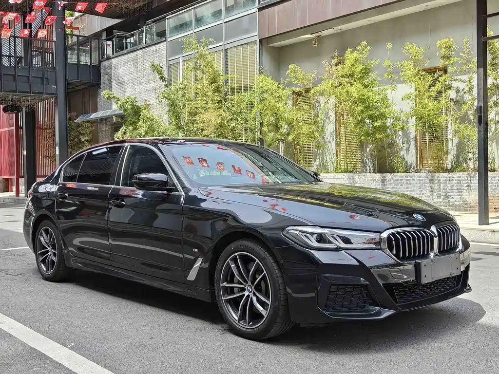 BMW 5 Series New Energy 2021 — фото 3
