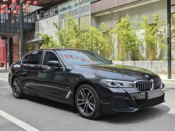BMW 5 Series New Energy 2021