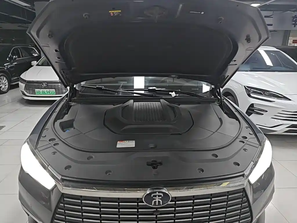 BYD Pro New Energy 2020 — фото 20