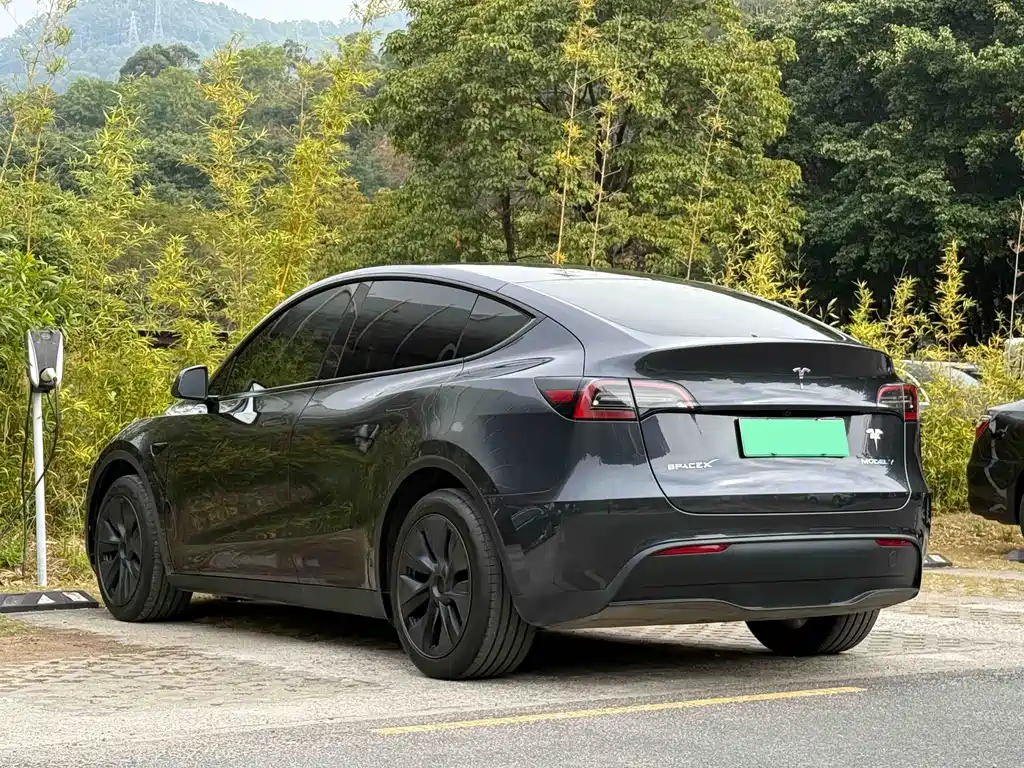 Tesla Model Y 2024 — фото 14