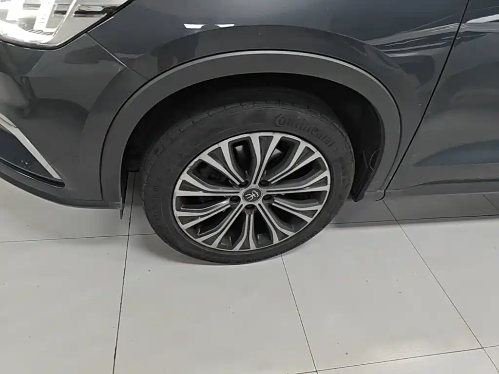 BYD Pro New Energy 2020 — фото 23