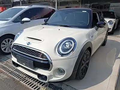 MINI MINI 2019