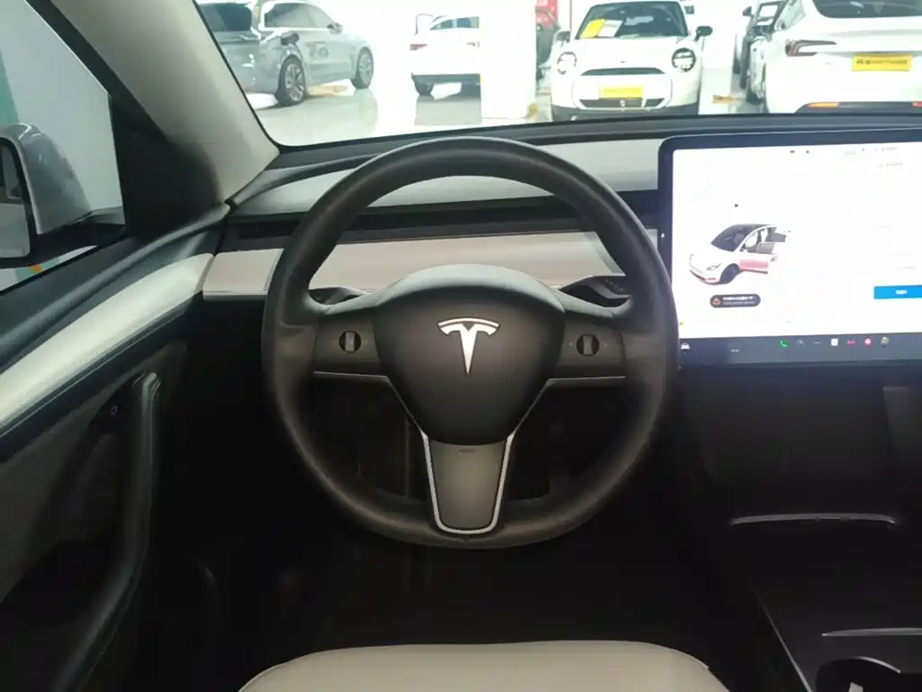 Tesla Model Y 2021 — фото 10