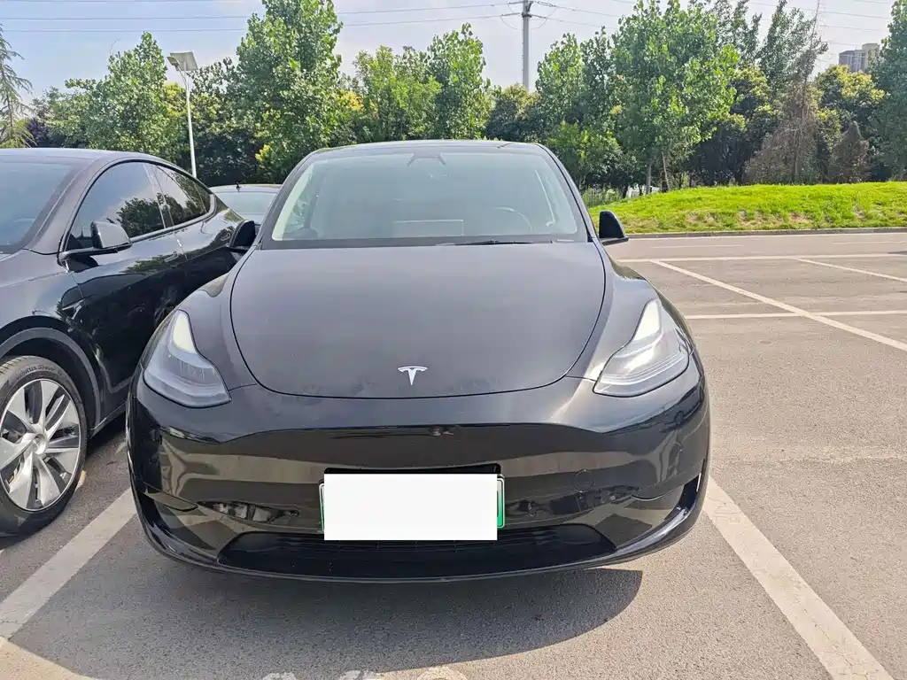Tesla Model Y 2021 — фото 2