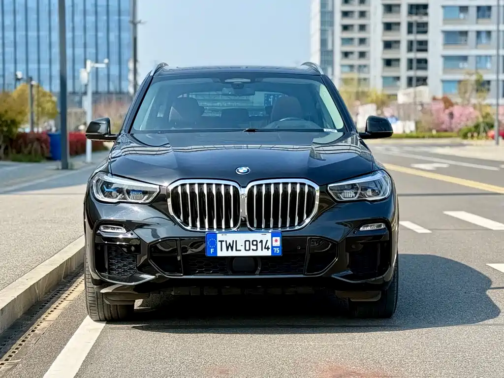 BMW X5 2019 — фото 3