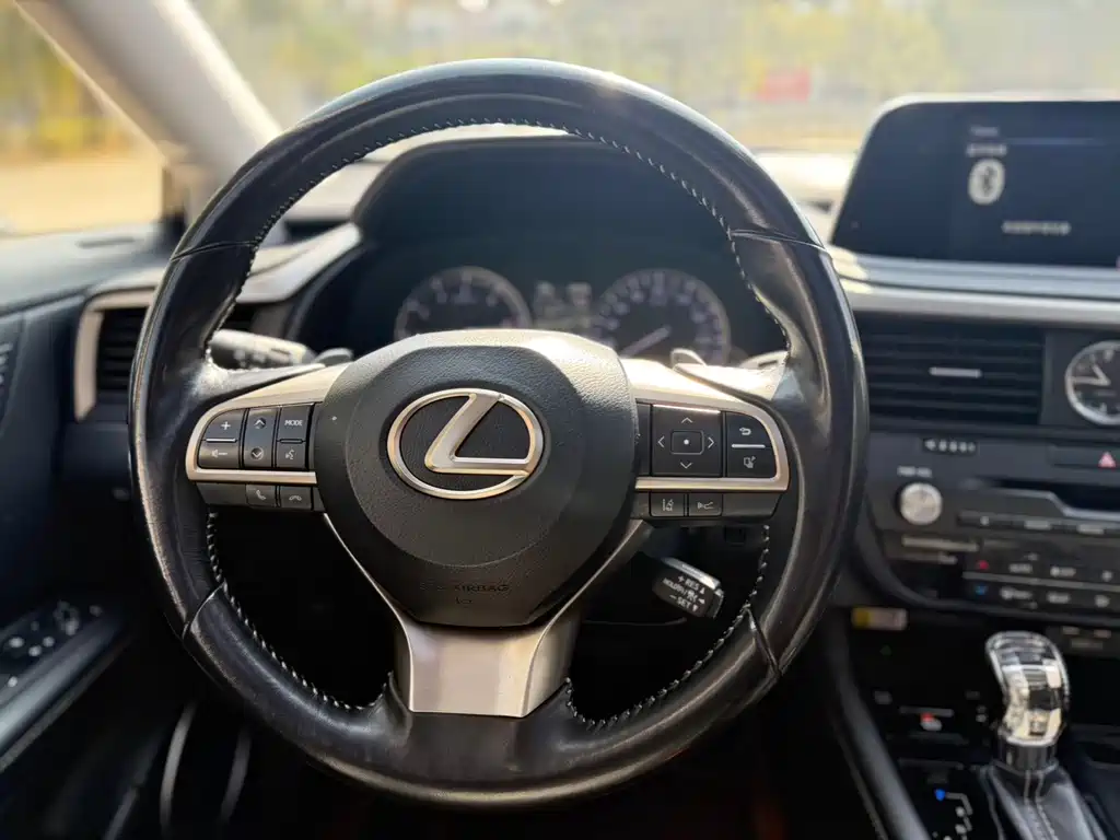 Lexus RX 2020 — фото 11