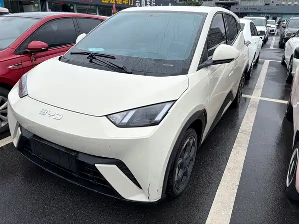 BYD Seagull 2024