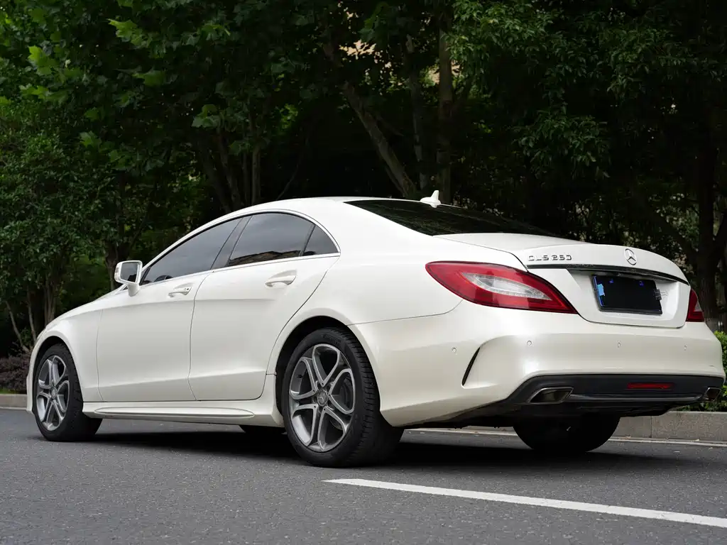 Mercedes-Benz CLS 2015 — фото 14