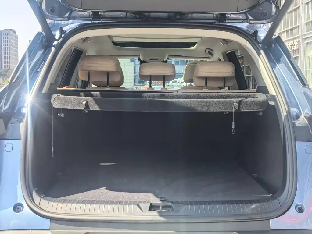 BYD Pro New Energy 2025 — фото 11
