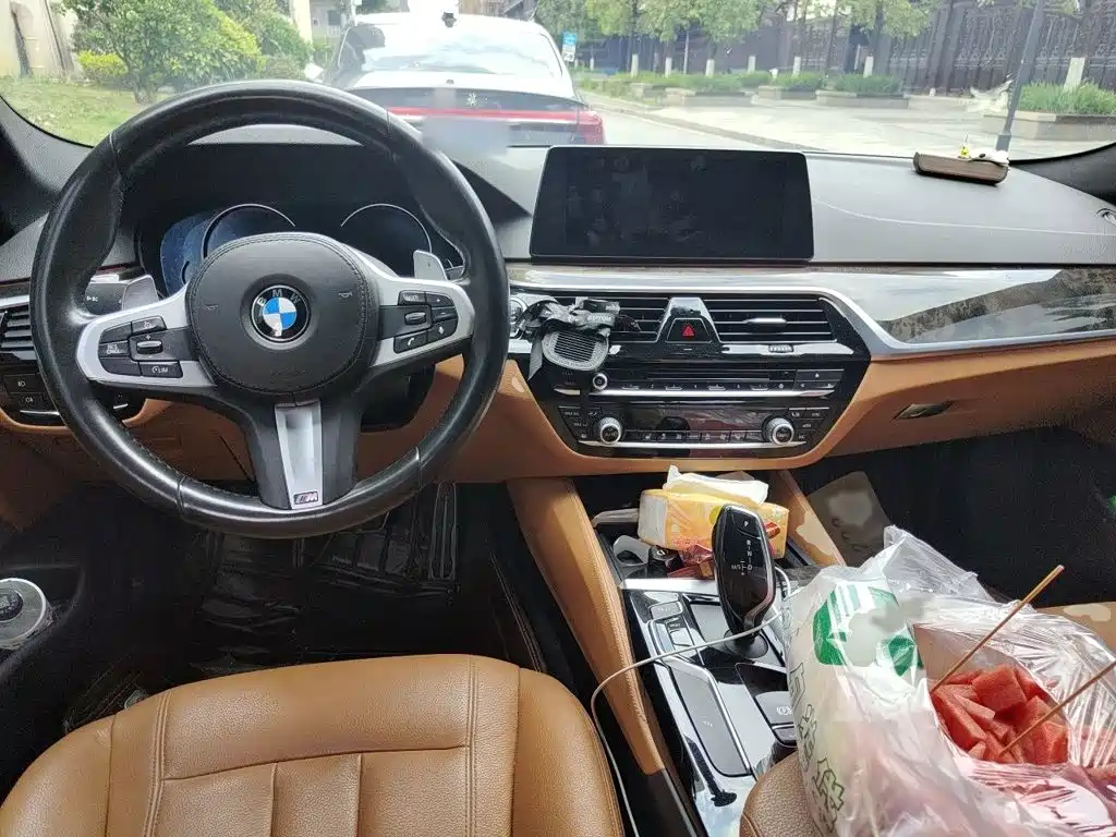 BMW 5 Series 2017 — фото 13