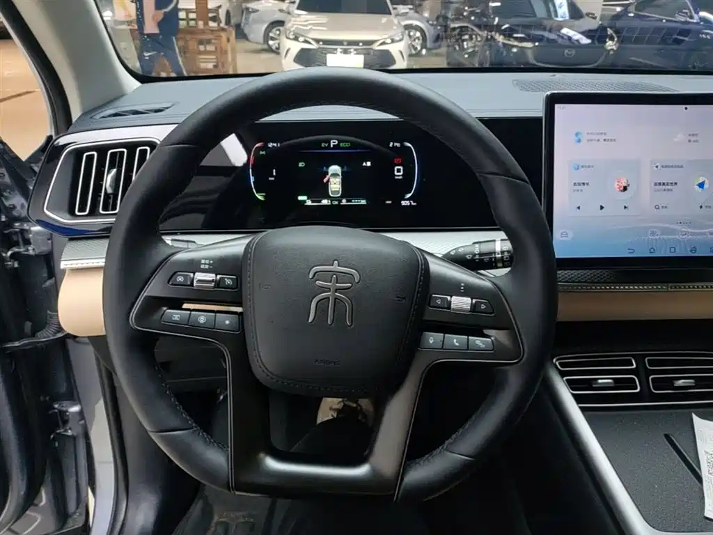 BYD Pro New Energy 2025 — фото 11