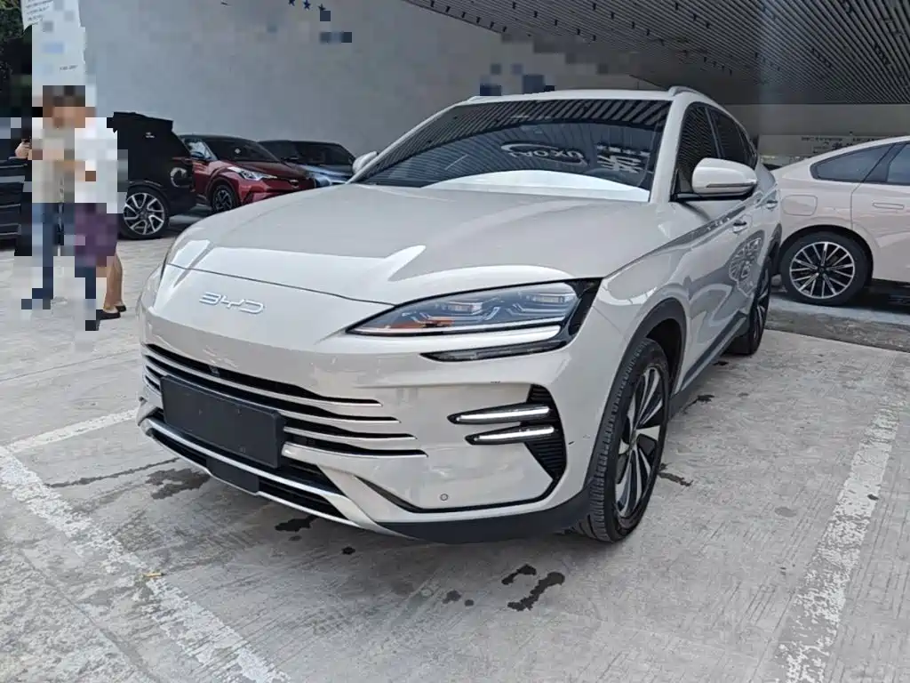 BYD Song PLUS New Energy 2023 — фото 2