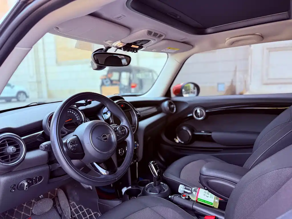 MINI MINI 2020