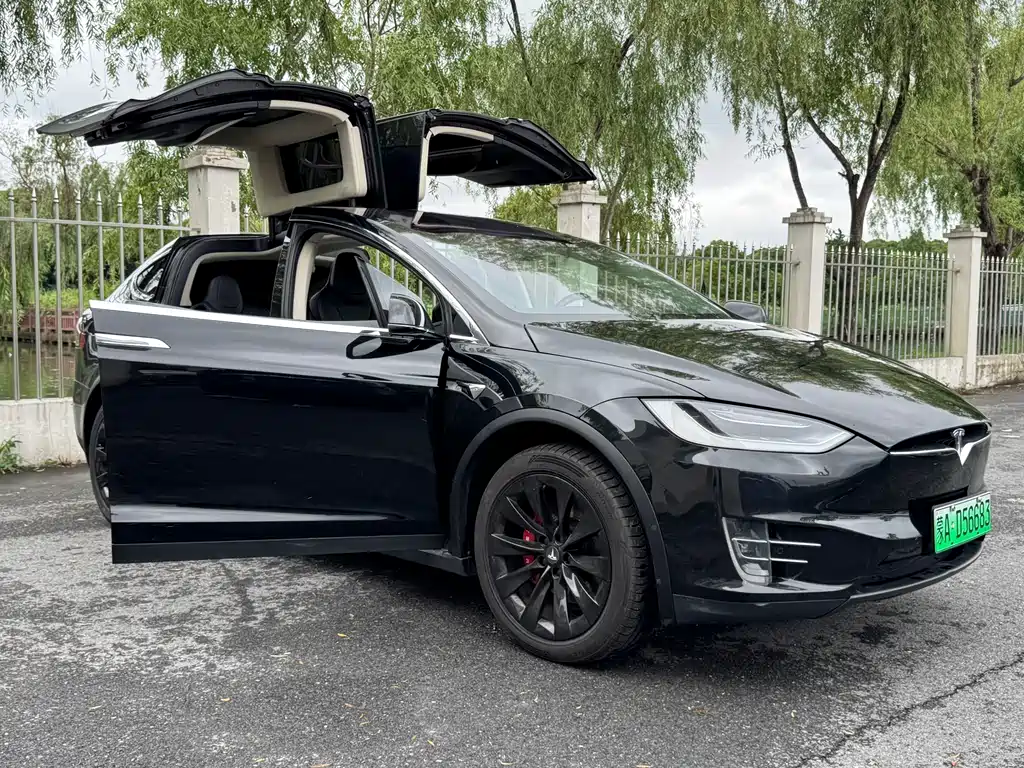 Tesla Model X 2019 — фото 13
