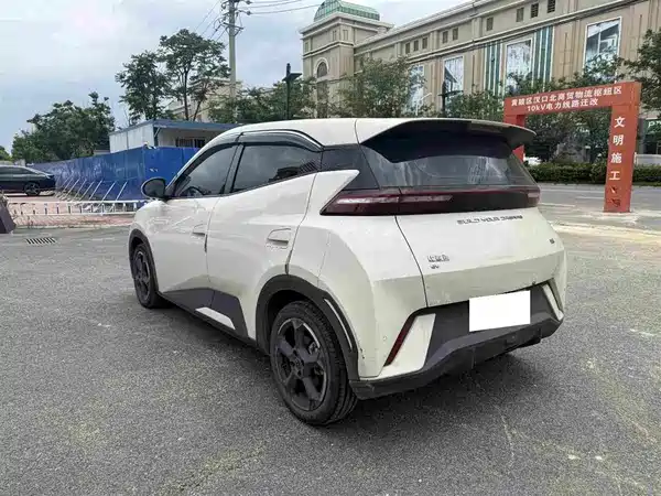 BYD Seagull 2024