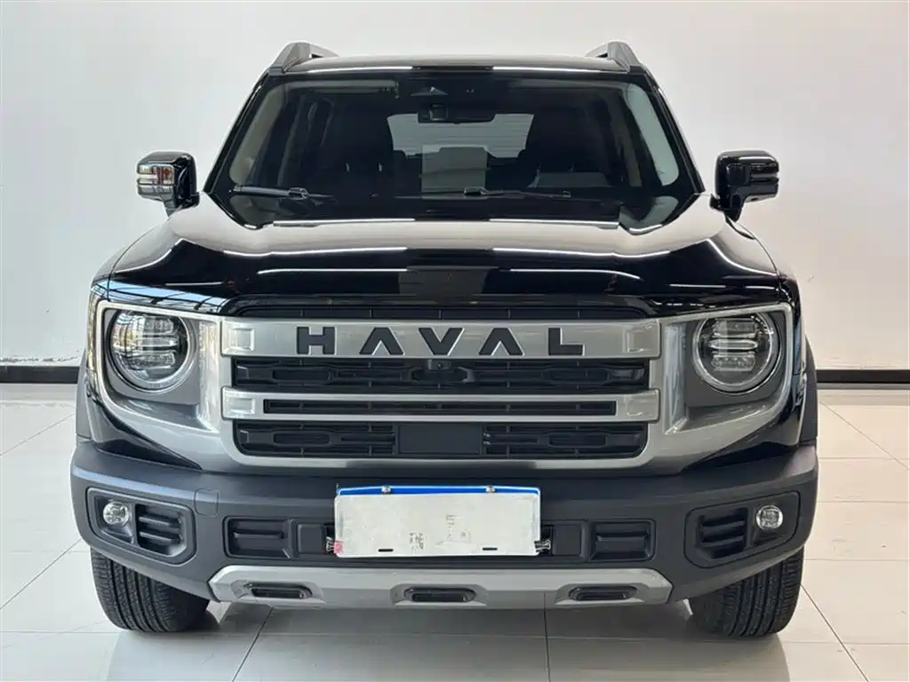 Haval Big Dog 2024 — фото 11