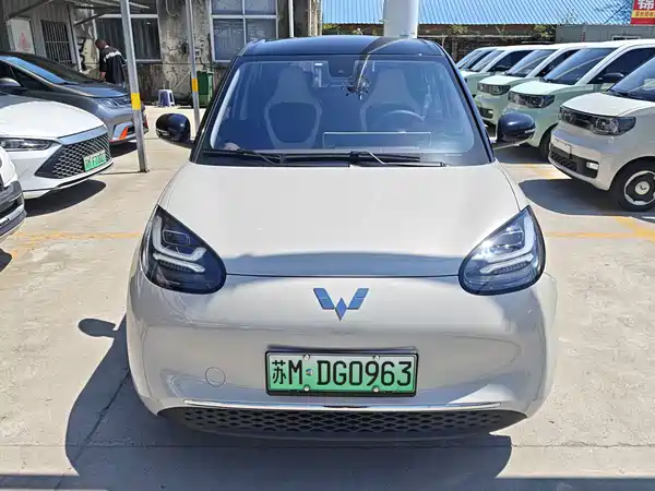 Wuling Bingo 2024