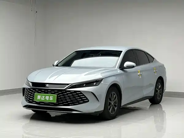 BYD Qin L 2024
