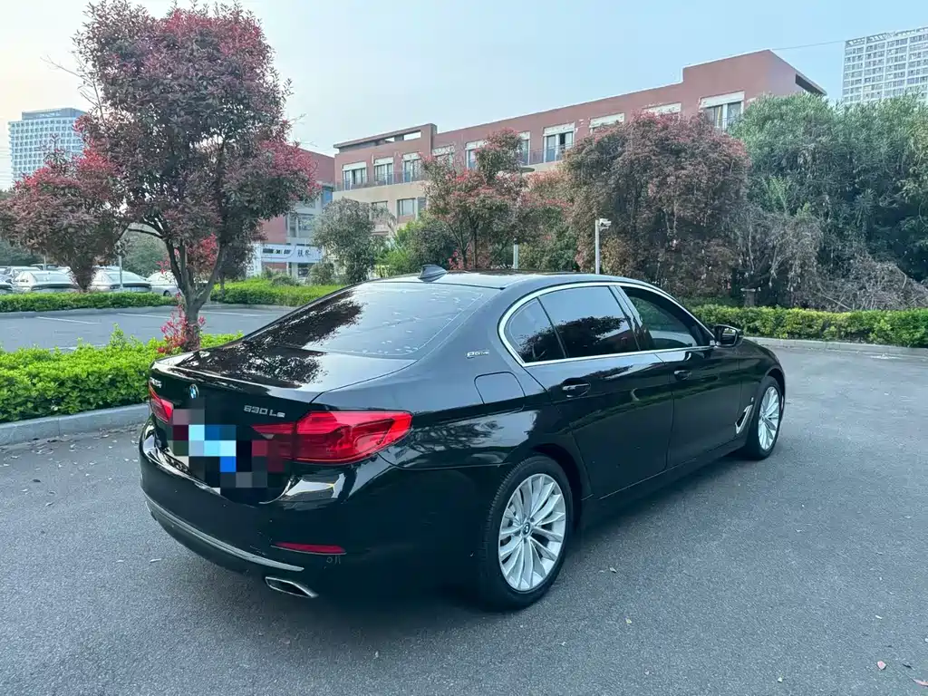 BMW 5 Series New Energy 2019