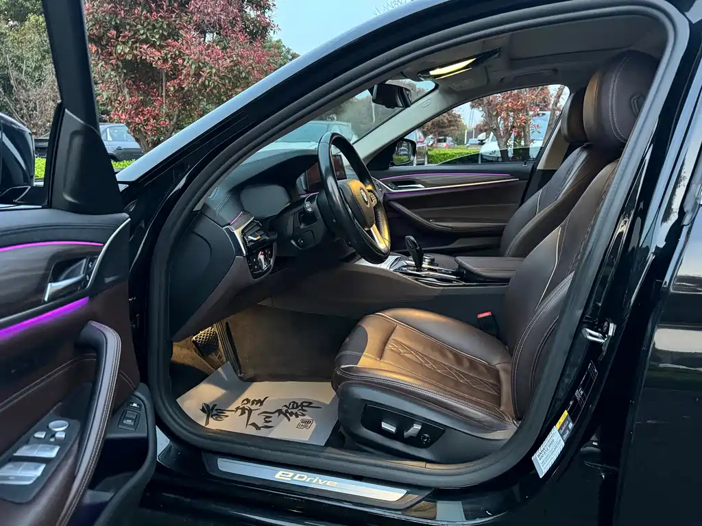 BMW 5 Series New Energy 2019