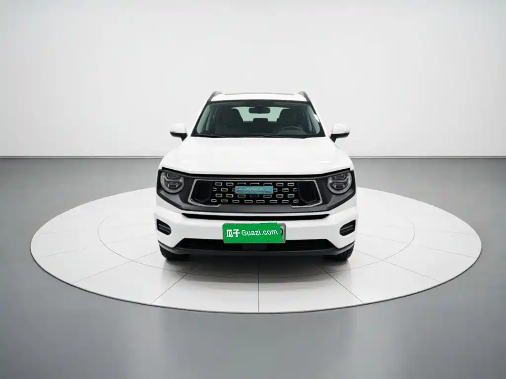Haval Big Dog PLUS New Energy 2024 — фото 2