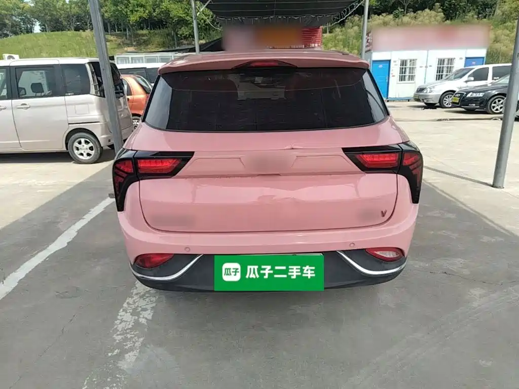 Neta V 2022