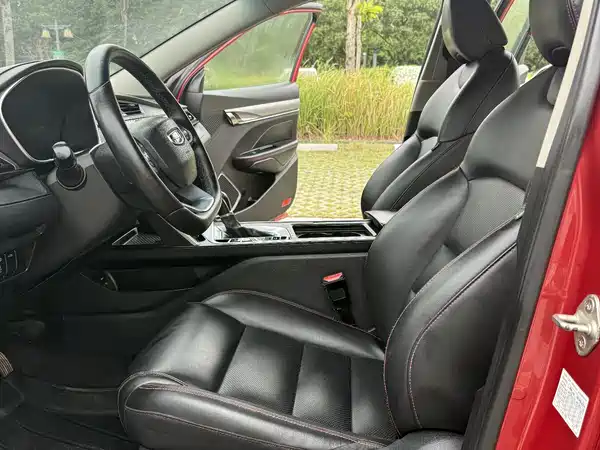 Geely Binrui 2019