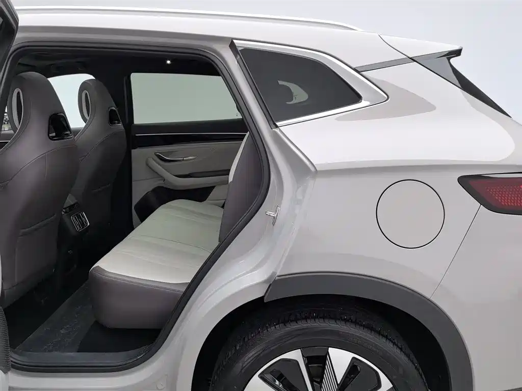 BYD PLUS New Energy 2024 — фото 15