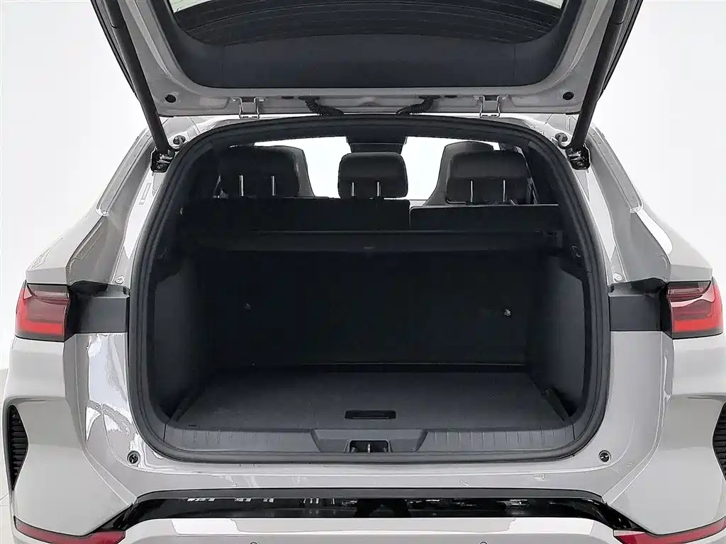 BYD PLUS New Energy 2024 — фото 16