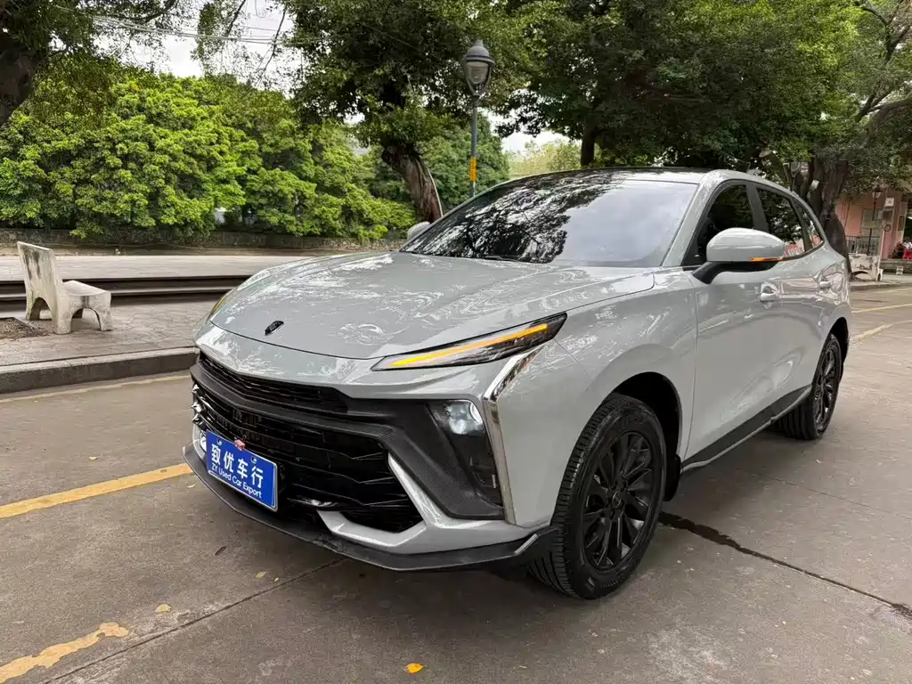 Dongfeng Fengxing T5 EVO 2023 — фото 1