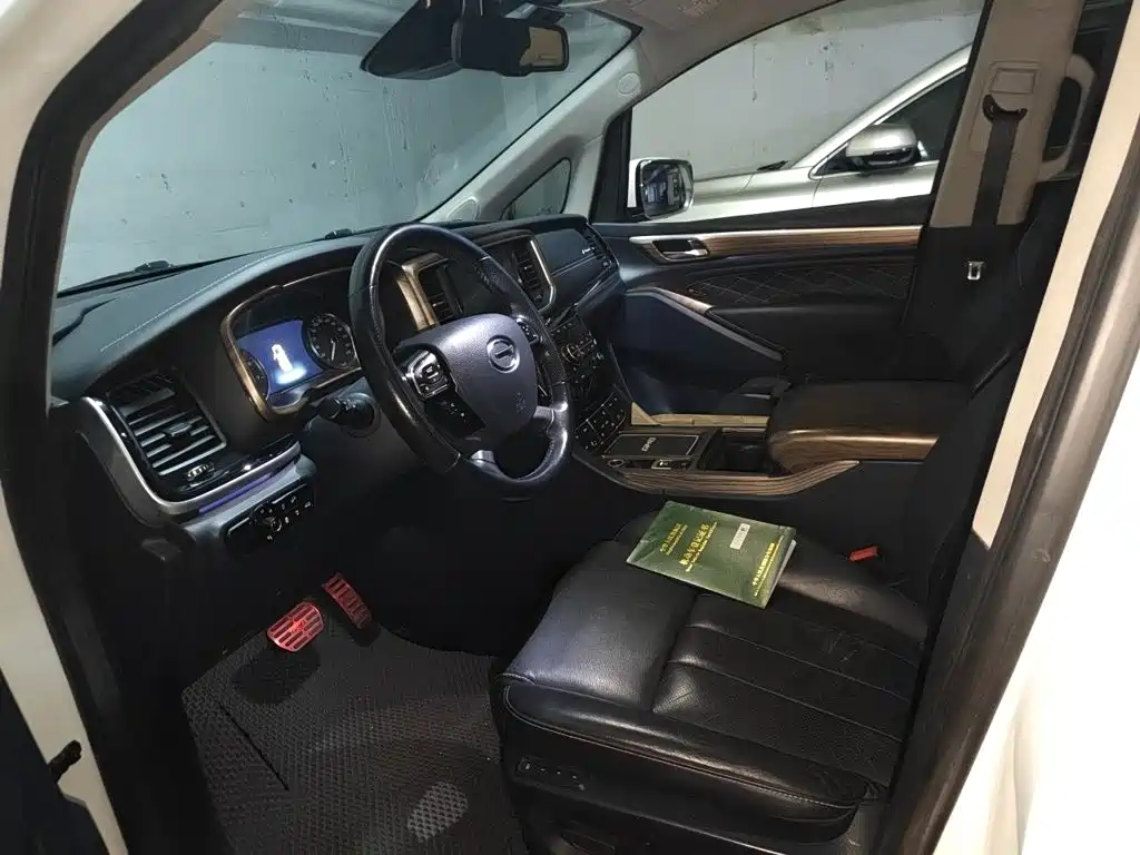 GAC Trumpchi M8 2020 — фото 12
