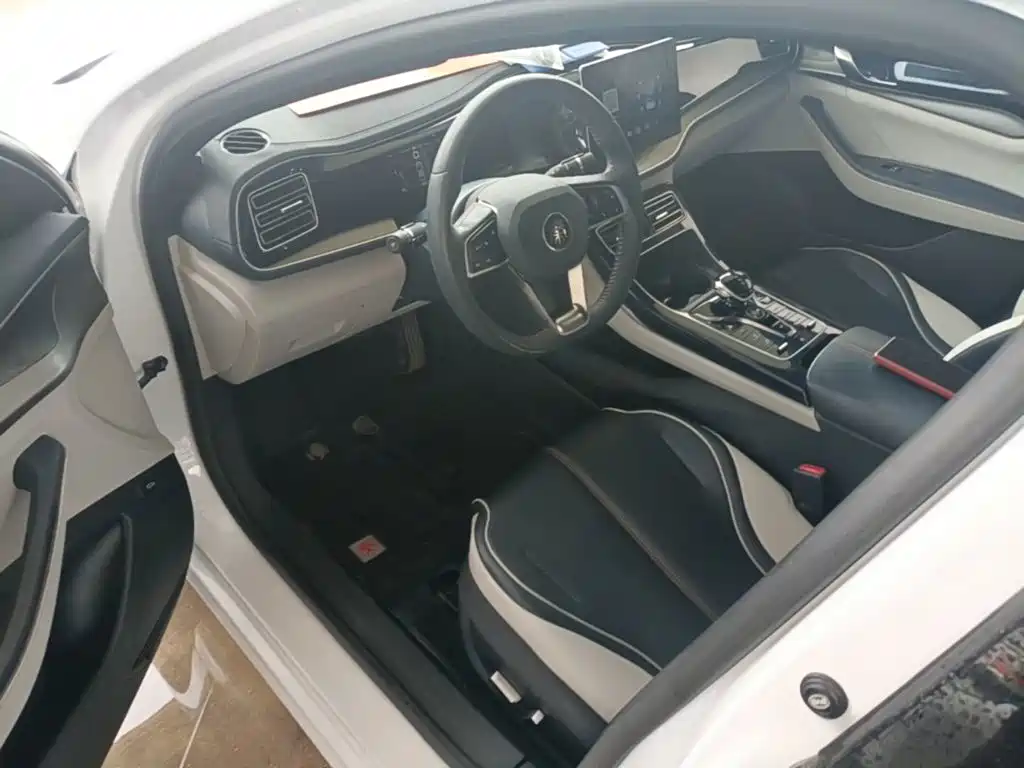 BYD Qin PLUS 2022 — фото 16