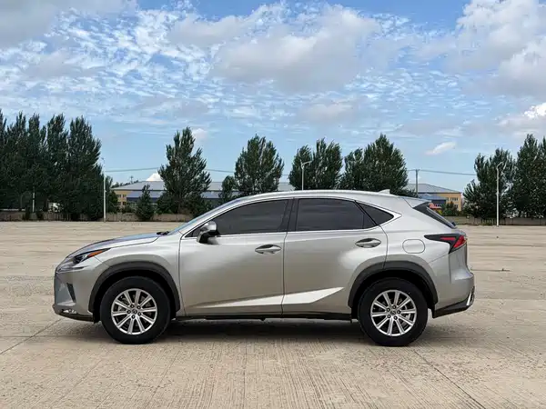 Lexus NX 2019