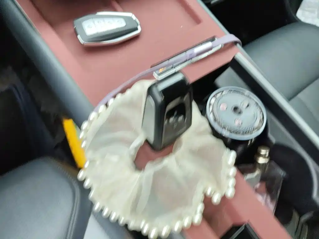 Geely Boyue L 2024 — фото 10