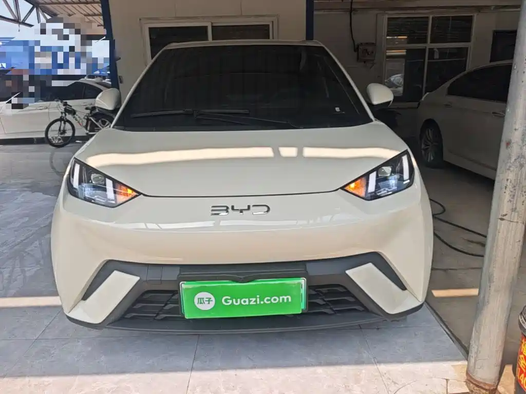 BYD Seagull 2024
