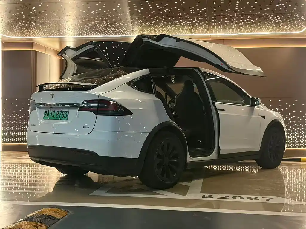 Tesla Model X 2017 — фото 21