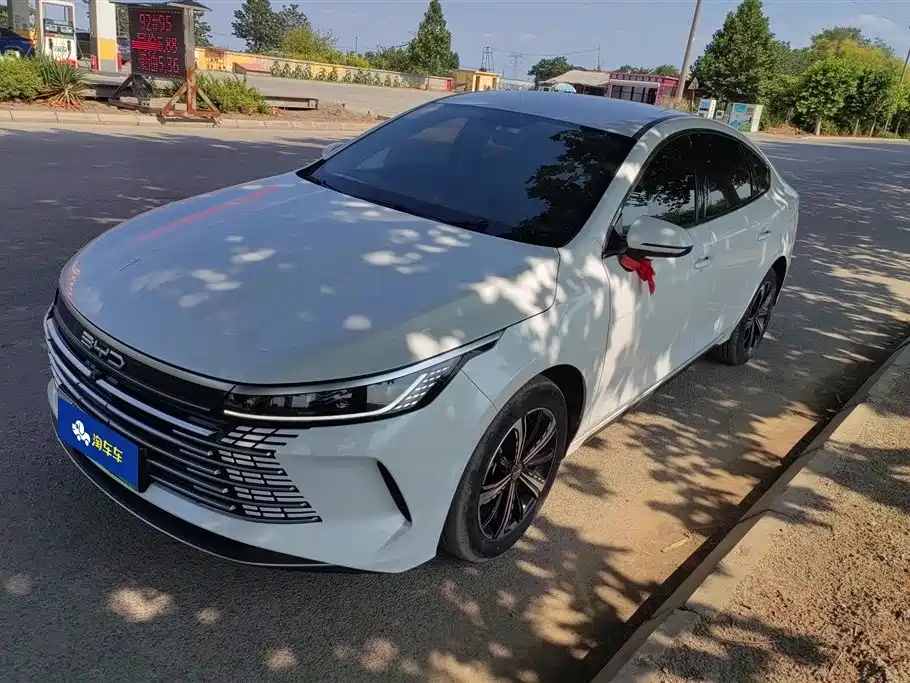 BYD Destroyer 05 2024