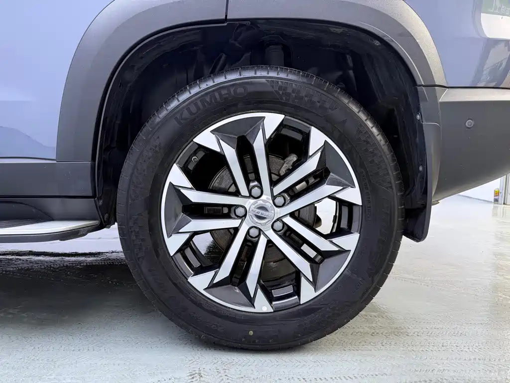 Haval Big Dog 2023 — фото 17