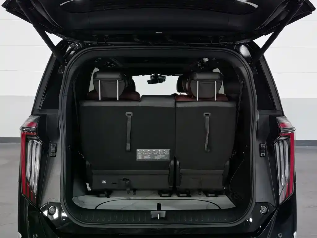GAC Trumpchi M8 2024 — фото 16