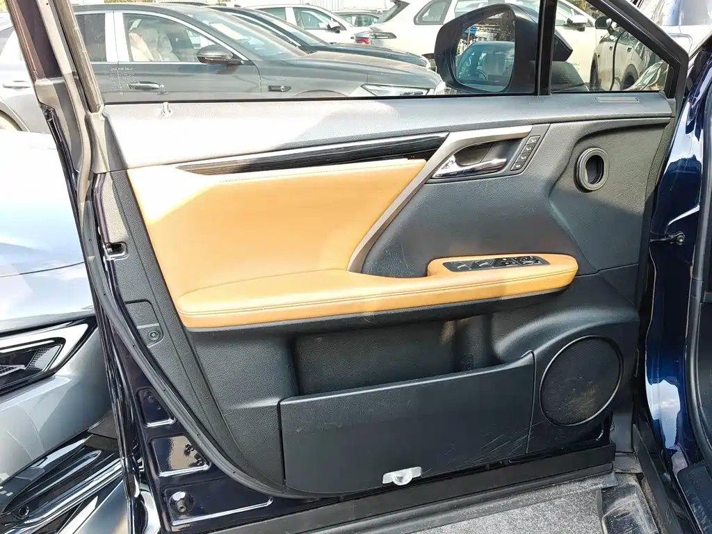 Lexus RX 2021 — фото 10