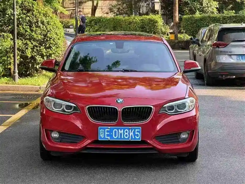 BMW 2 Series 2016