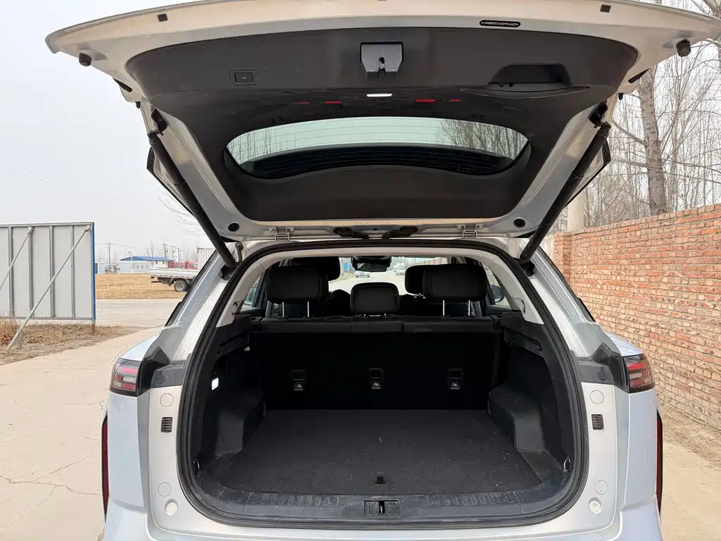 Chery C-DM 2024 — фото 11