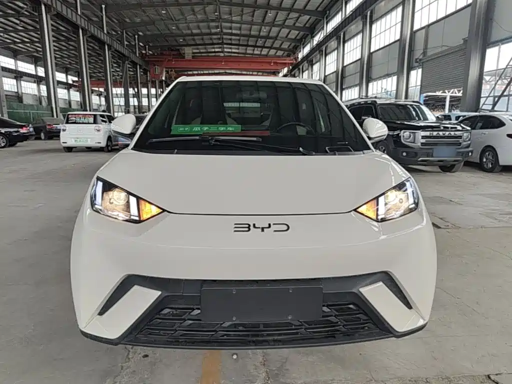BYD Seagull 2025