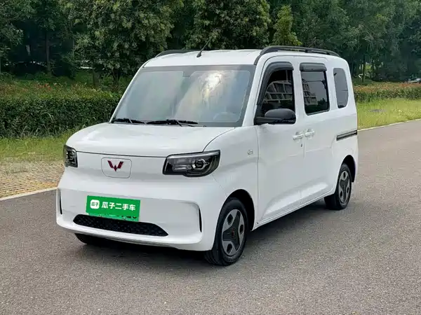 Wuling Zhiguang New Energy 2026