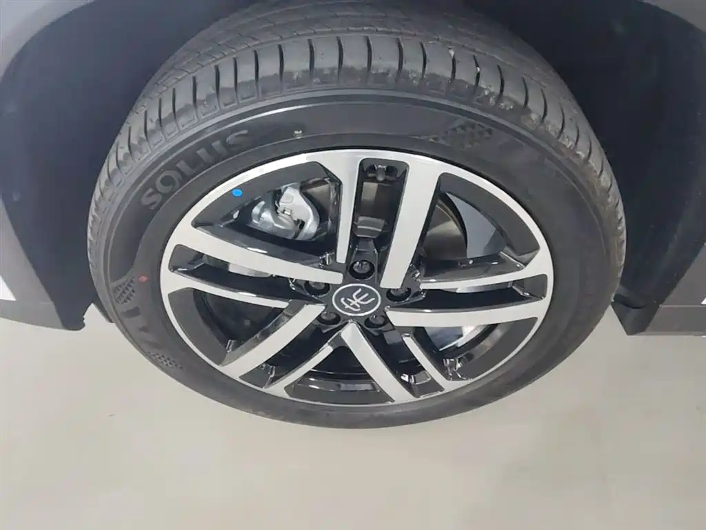 BYD L DM-i 2025 — фото 23
