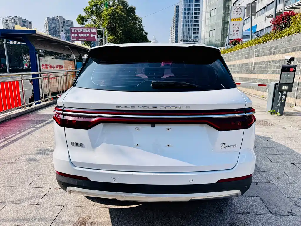 BYD Pro 2020 — фото 11